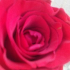 Meet your Posher, Maisha